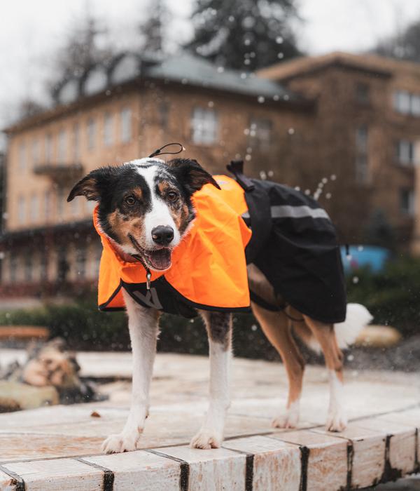 Non-stop dogwear Regenmantel Fjord raincoat