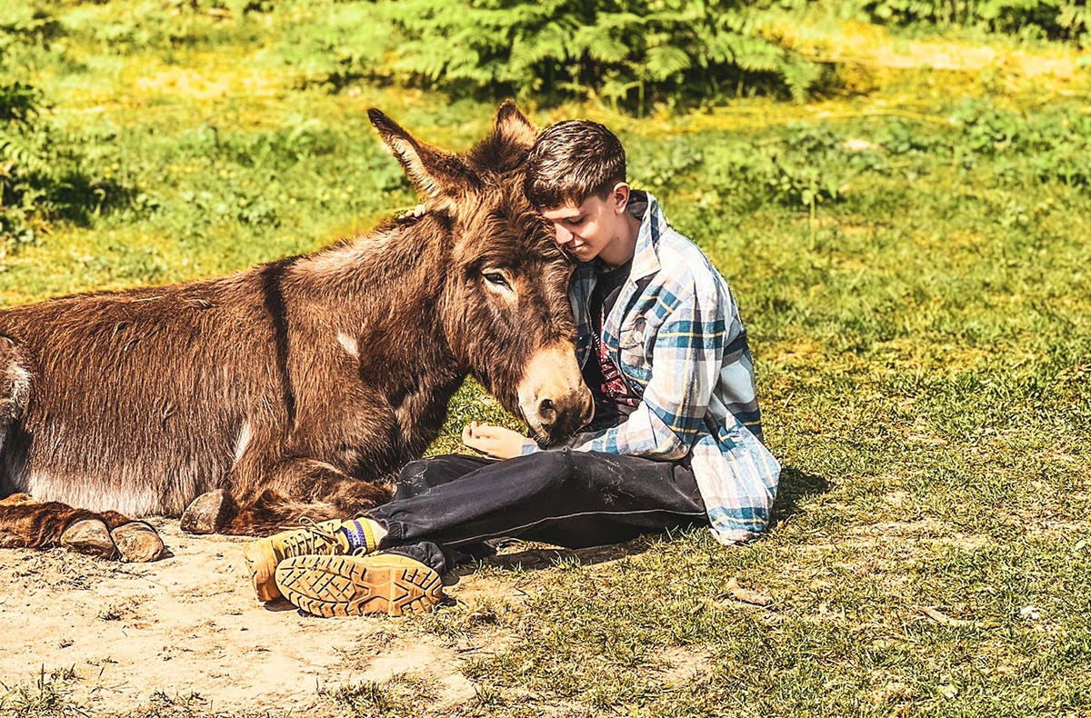 Tagestour mit Eseln Eppenbrunn für 2