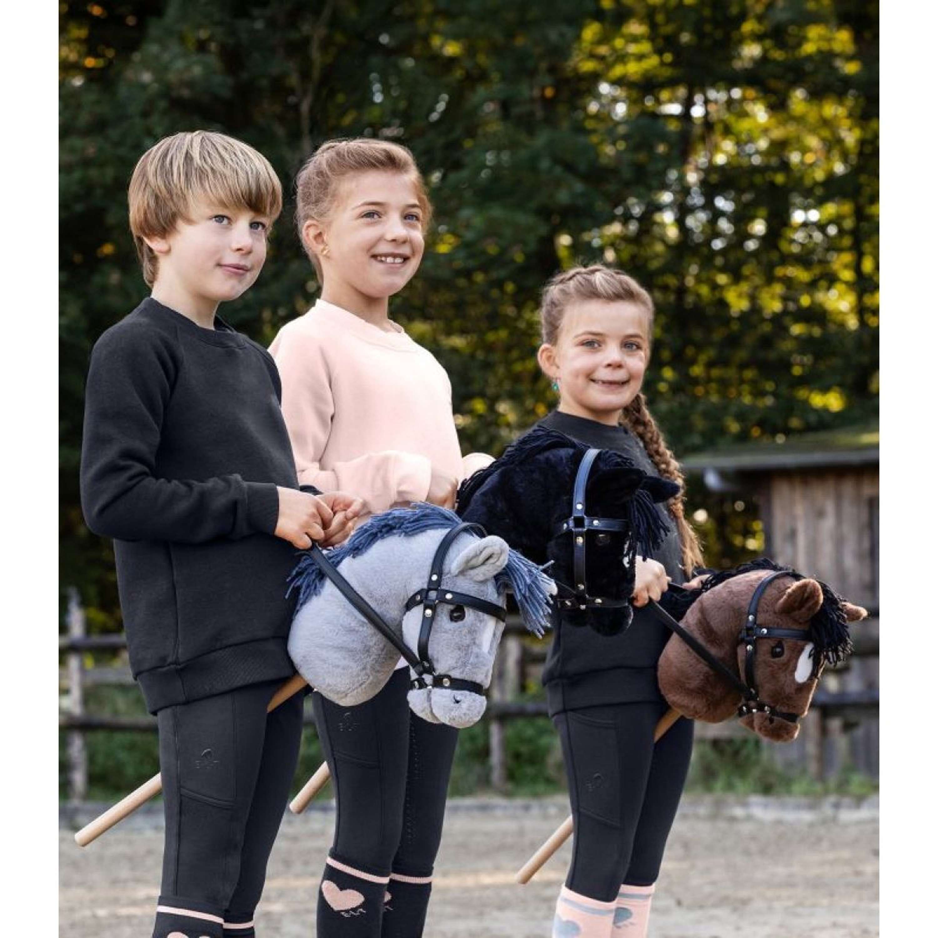 Waldhausen Hobby Horse Milky Grijs