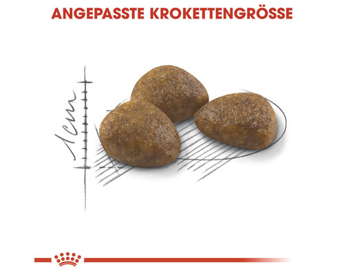 ROYAL CANIN Outdoor +7 droog kattenvoer, 4 kg