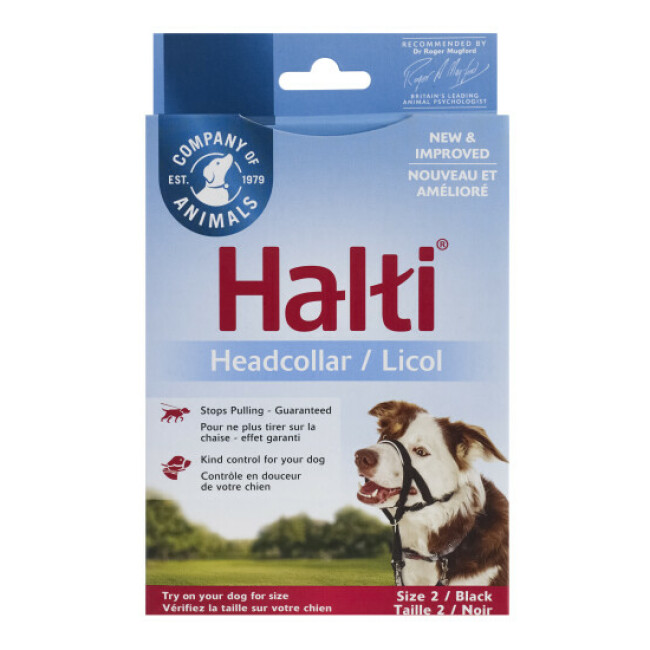 Licol de dressage Halti pour chien