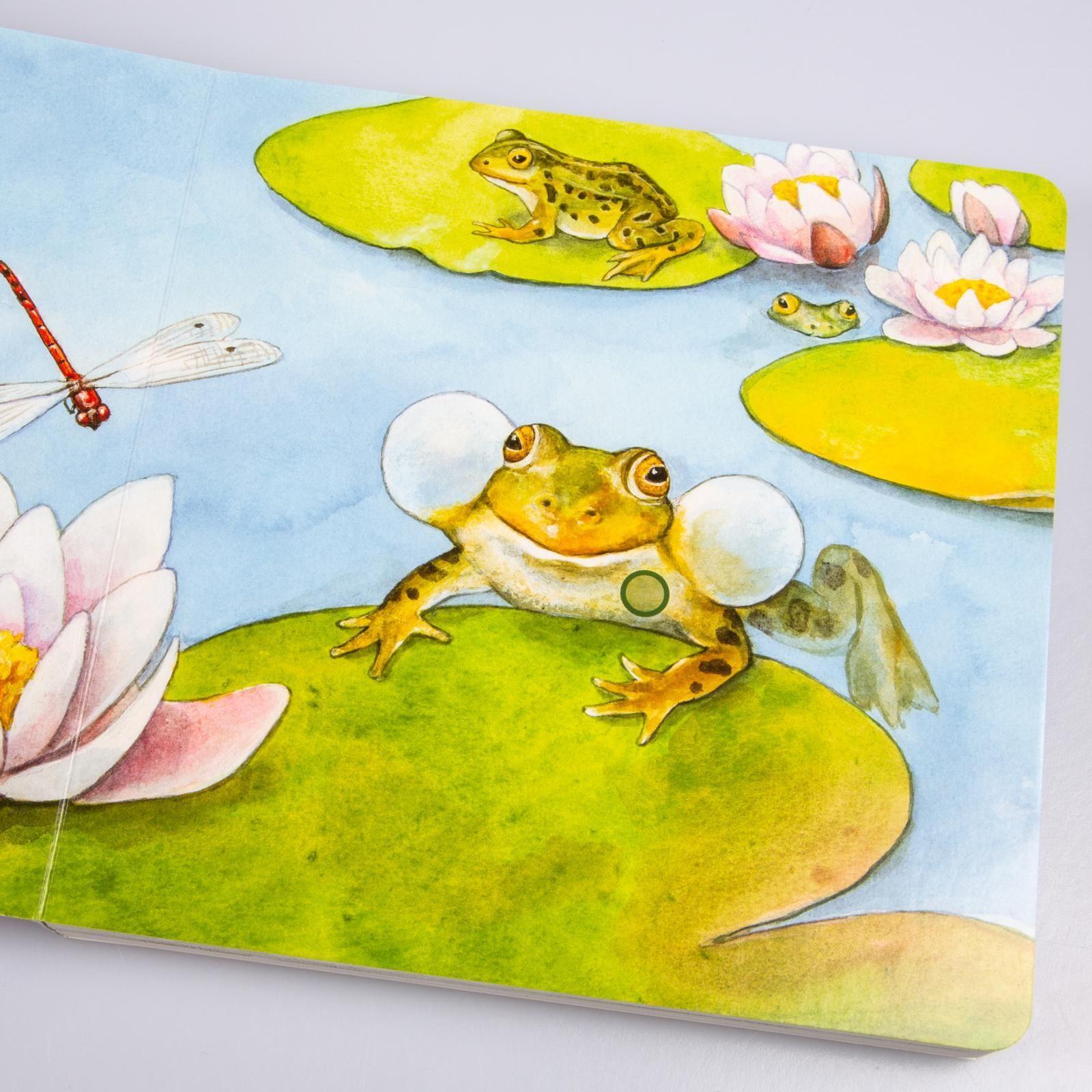 In der Natur / Hör mal Bd.2