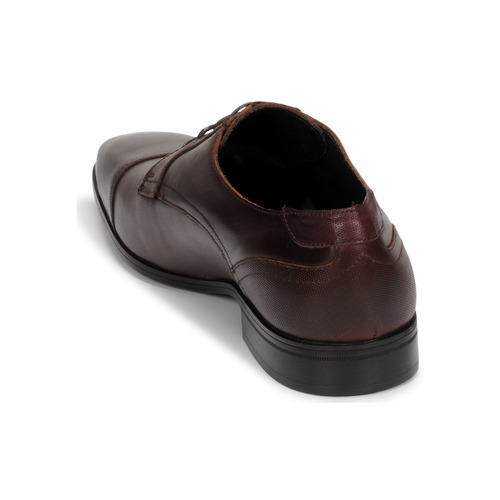 Carlington - NIMALE - Marron
