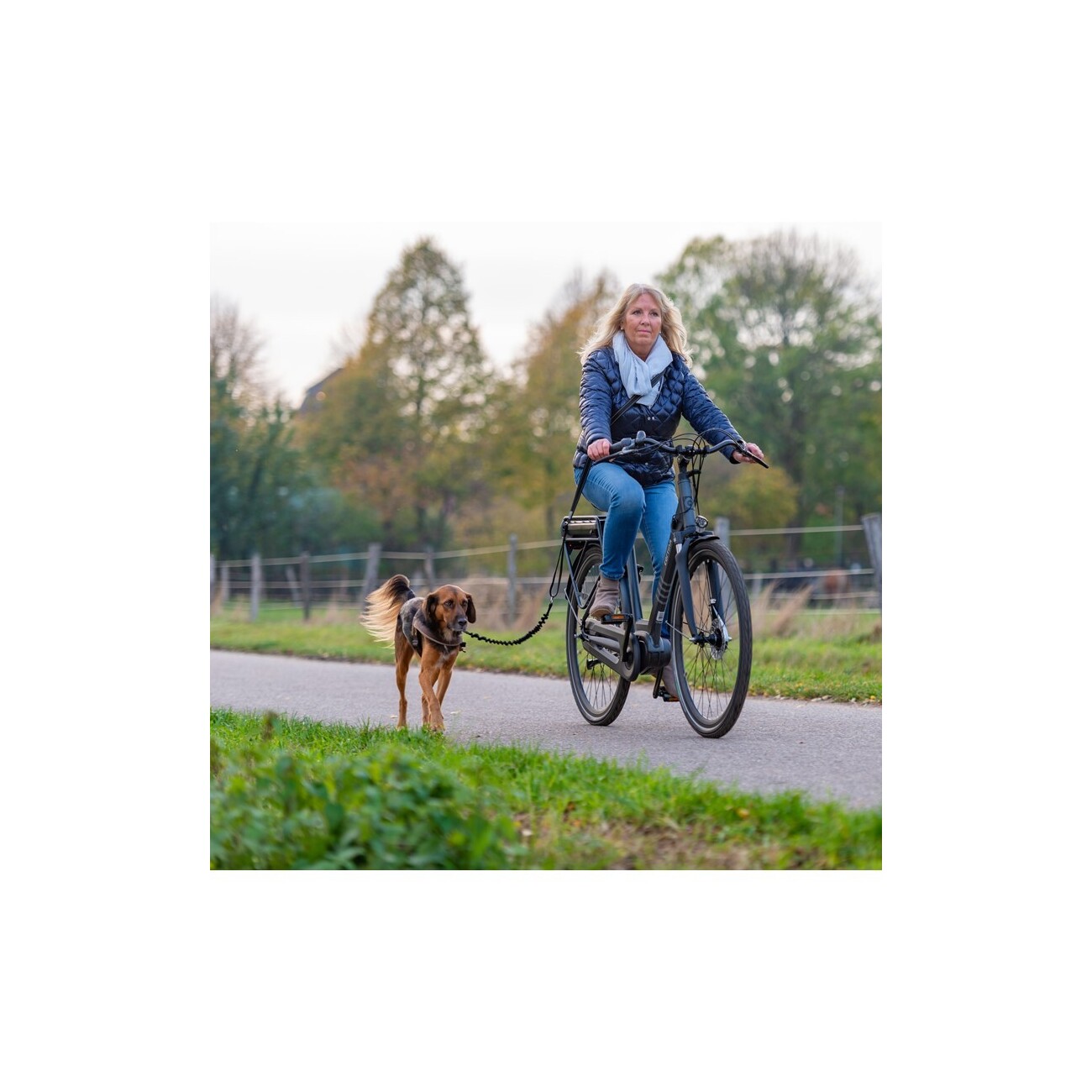 AniOne Fahrradleine