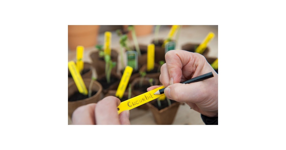 NatureKweekset - Start kweekkas  (Groen)
