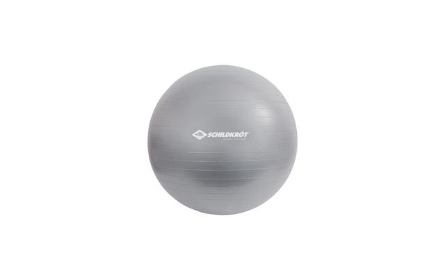 Schildkröt-Fitness Gymnastikball »Gymnastikball 55«