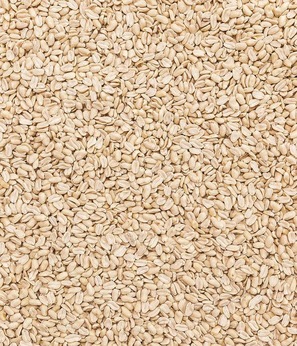 Dehner Natura Premium Wildvogelfutter