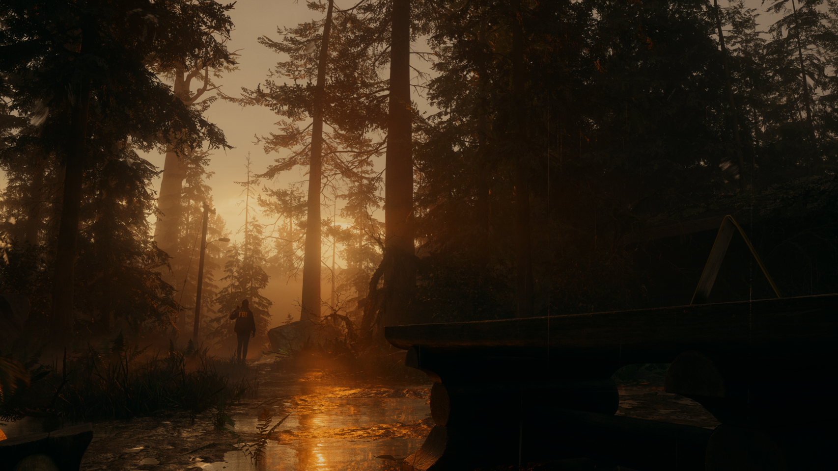 Alan Wake 2 (Deluxe Edition)- Xbox Series X