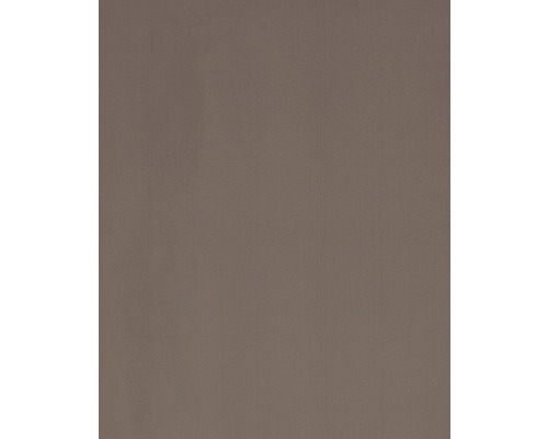 Schuifgordijn Feel Good Uni bruin 60x245 cm