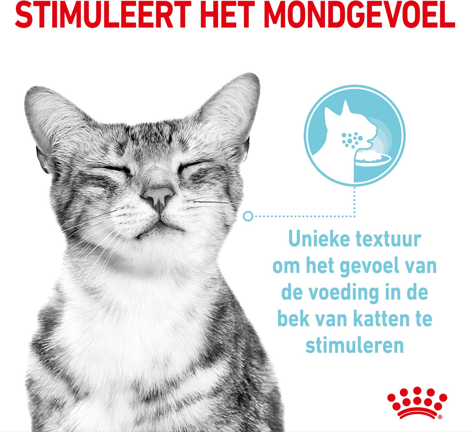 Royal Canin kattenvoer in saus Sensory Mix 85 g 12 stuks