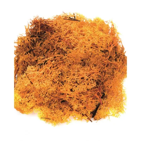 Glorex Islandmoos, 50 g, orange