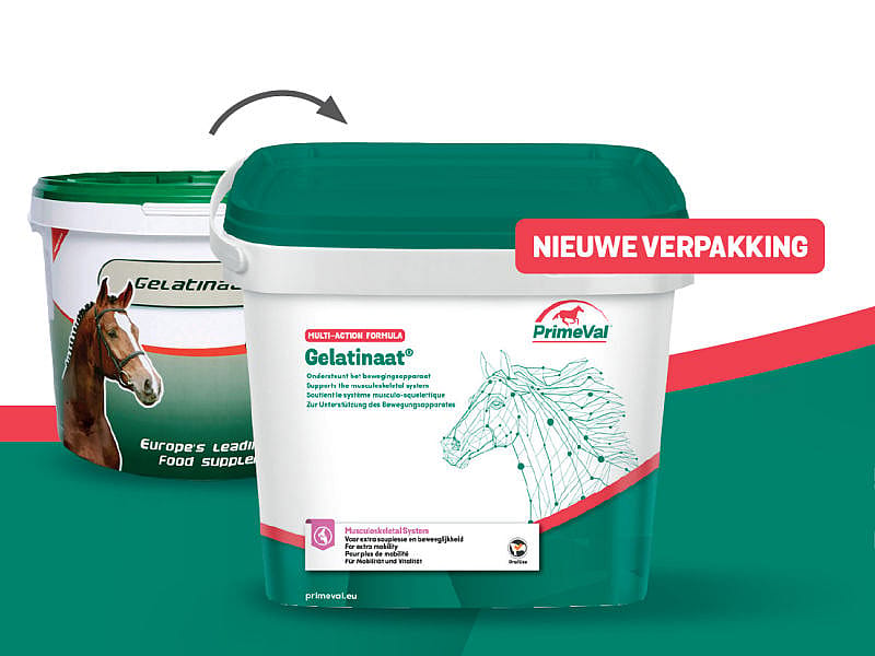 Primeval Gelatinaat paard 2 kg