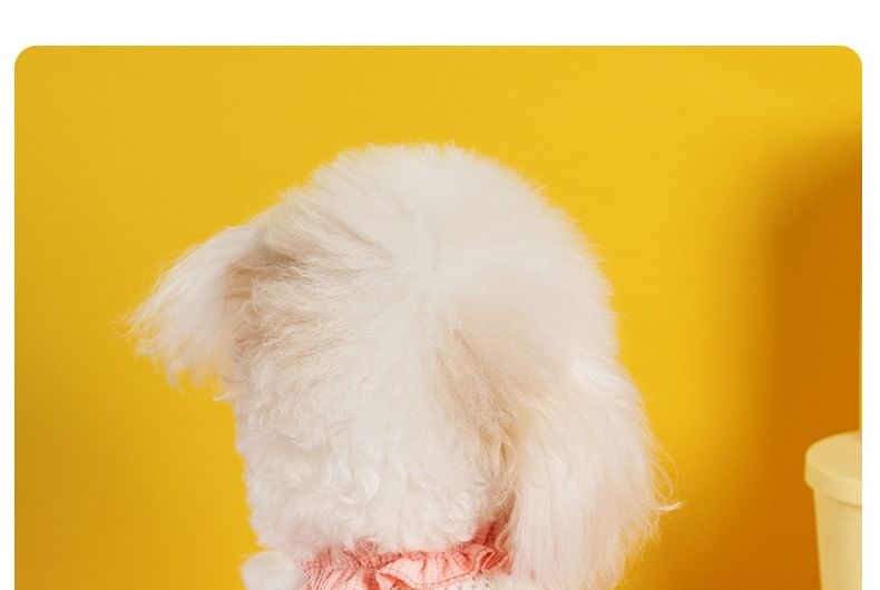Cissilli - Pet Top met linthart