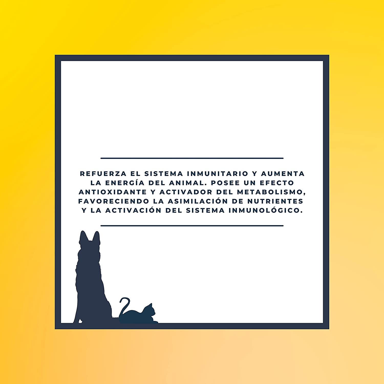 Suplemento energético para cães e gatos - Energy Premium 250 ml - Fornece vitalidade e energia ao seu animal de estimação em momentos de maior esgotamento energético - Fácil de administrar - Sabor agradável