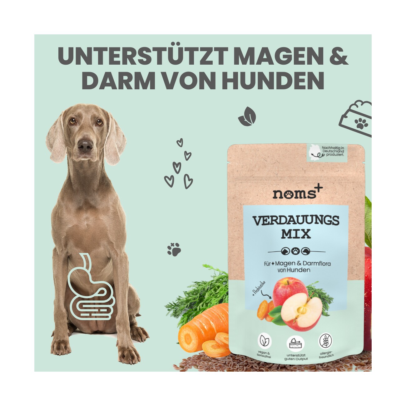 noms+ Verdauungsmix für Hunde als Probiotikum 150g