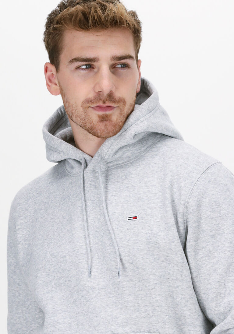 TOMMY JEANS lichtgrijze tommy jeans sweater tjm regular fleece hoodie