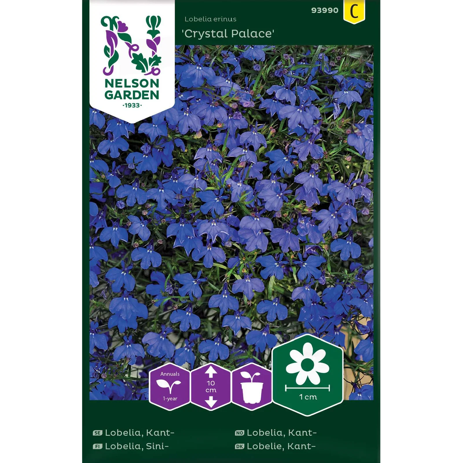 Lobelia erinus 'Crystal Palace' Kanlobelia Crystal Palace'