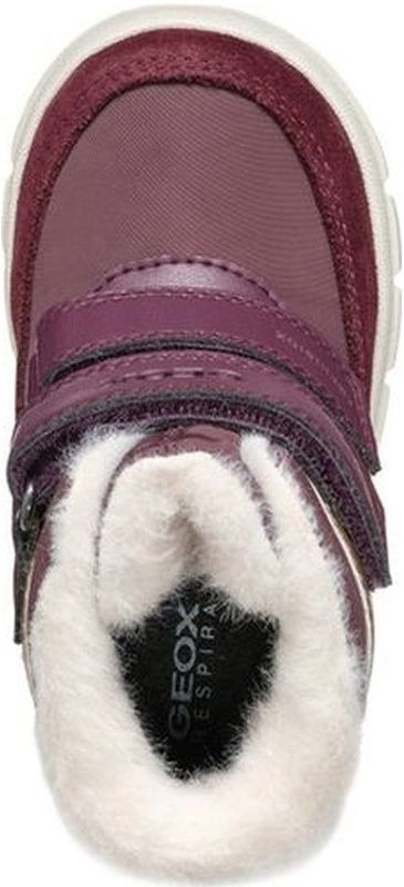 Geox - B365AA 0FU22 Enkellaarsjes - Paars - Polyurethaan, Polyester, Suède
