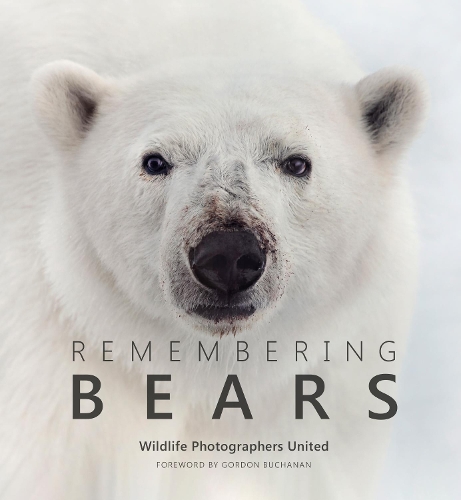 Remembering Bears - Remembering Wildlife (Hardback)