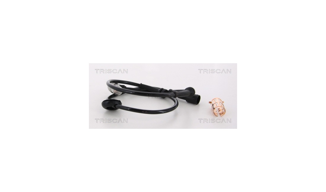 ABS sensor