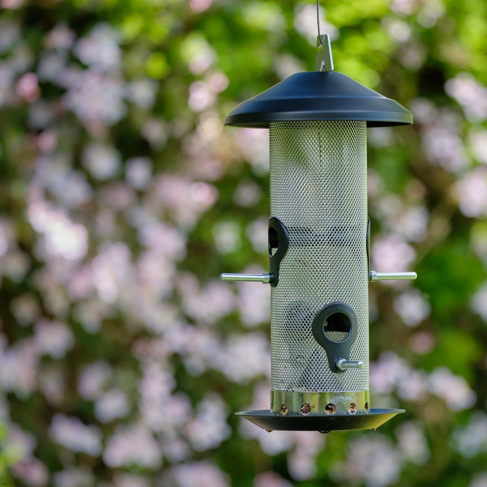 Mangeoire à graines pour oiseaux