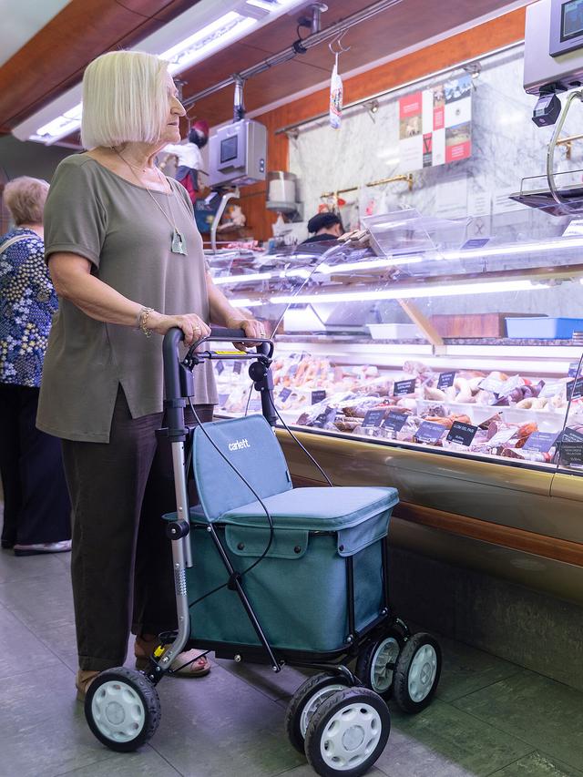 Flex Shopping Rollator 