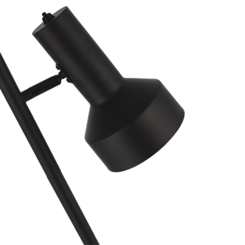 KARWEI vloerlamp Eden zwart