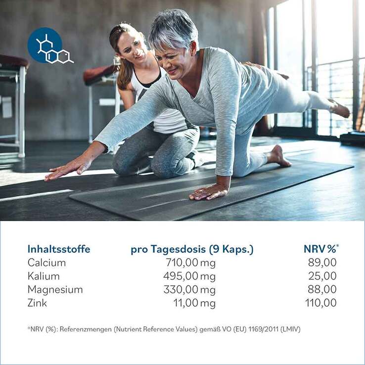 Jab Base Kapseln, 270 St