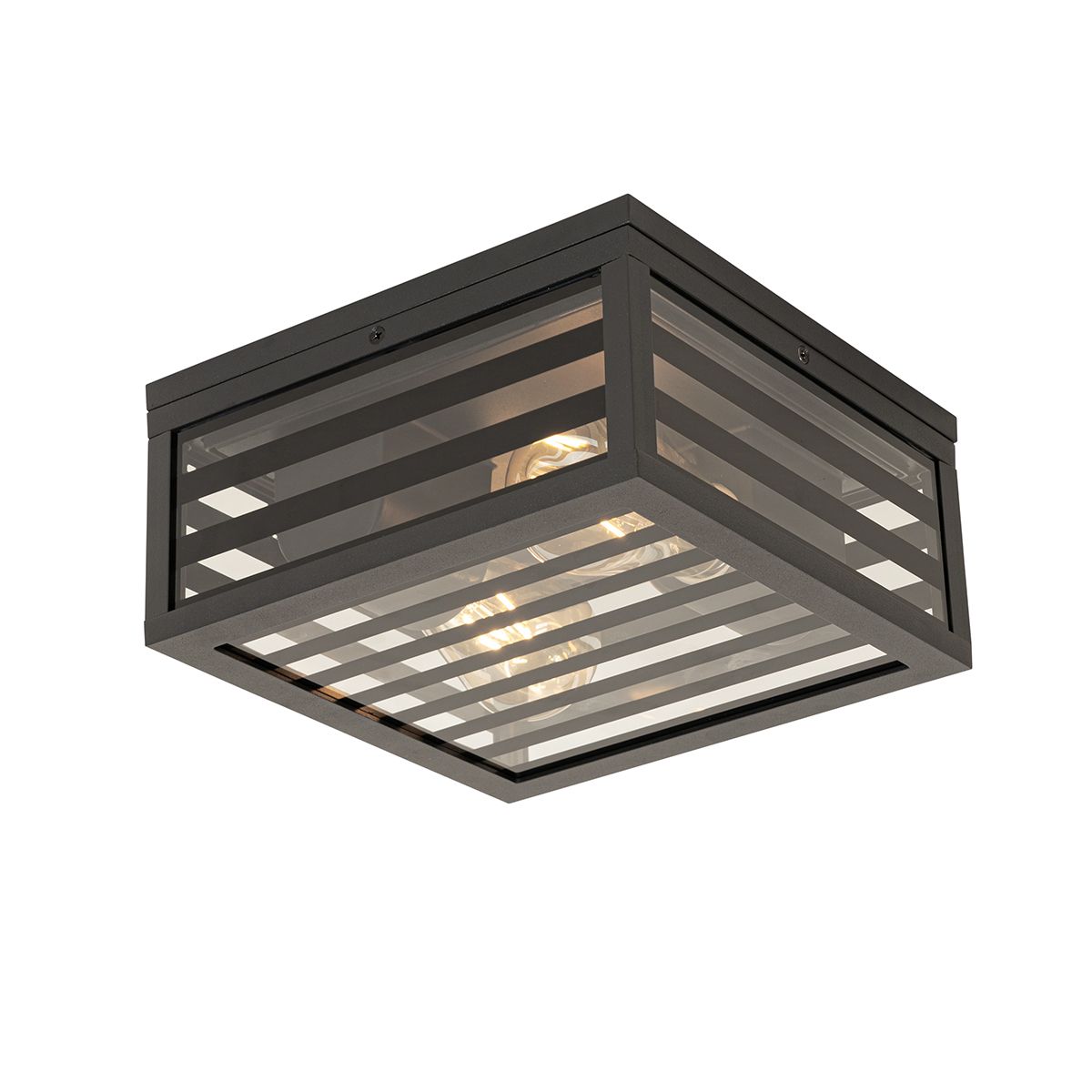 Moderne buiten plafondlamp zwart glas 2-lichts IP44 - Reims