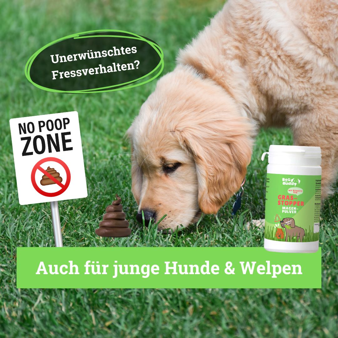 BeG Buddy Gras-Stopper für Hunde