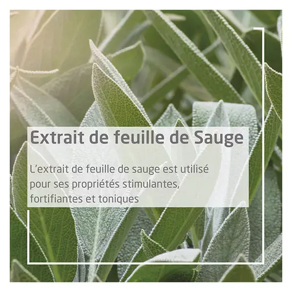 Gel Gengival de Sálvia Weleda 30ml