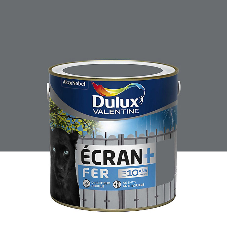 Peinture extérieure Ecran+ Fer protection antirouille Dulux Valentine brillant anthracite RAL 7016 2L