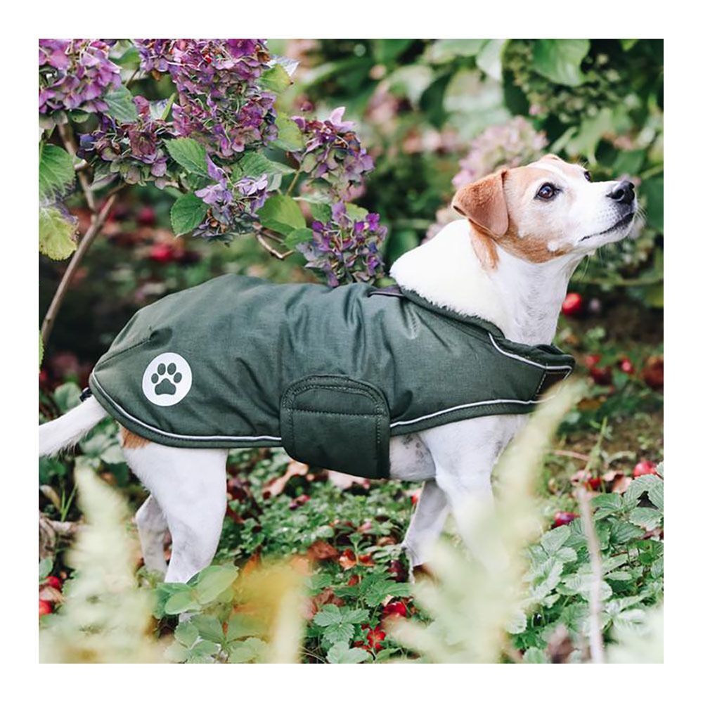 Kentucky PINA - Manteau pour chien vert sapin