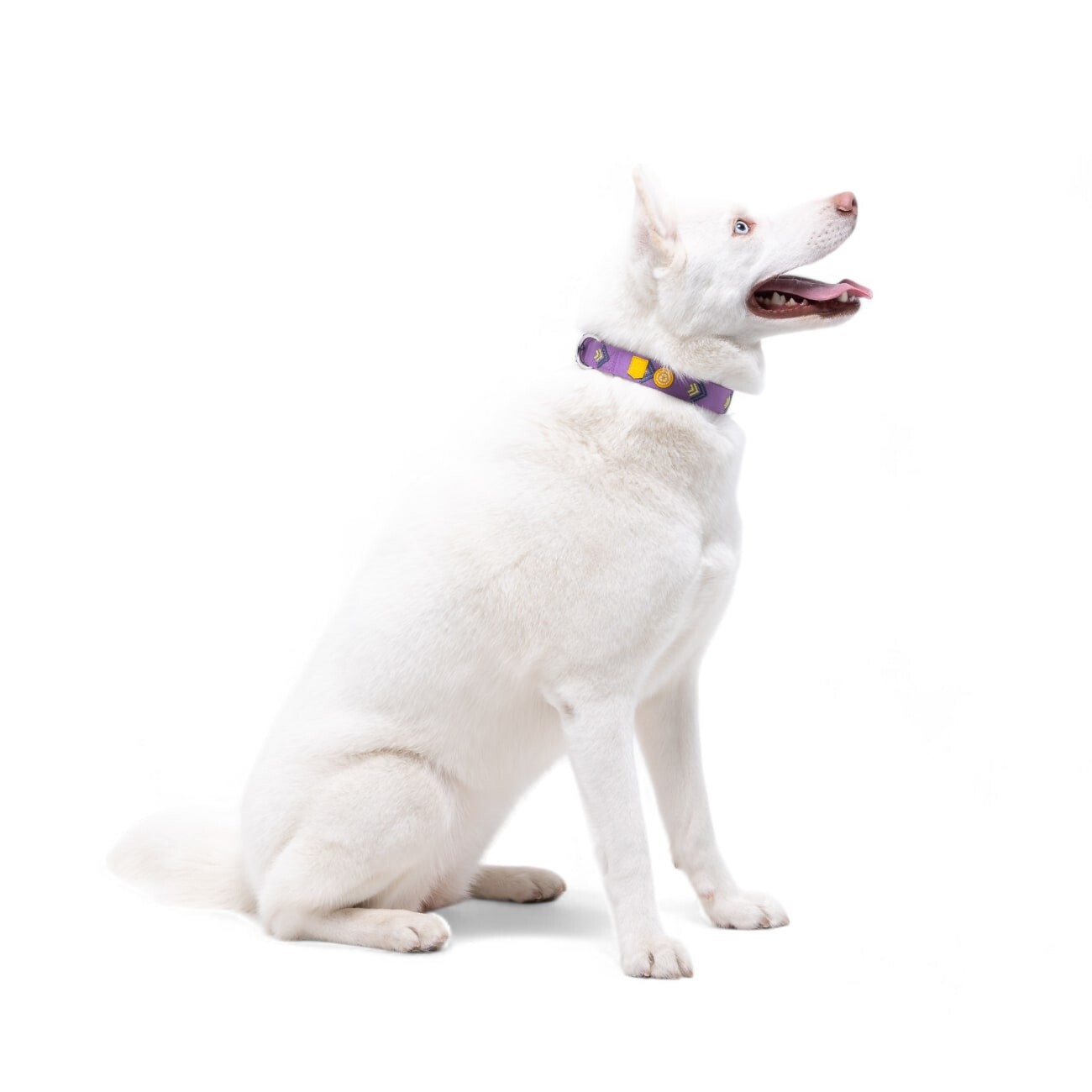 Woolly Wolf Halsband Northern Lights XS