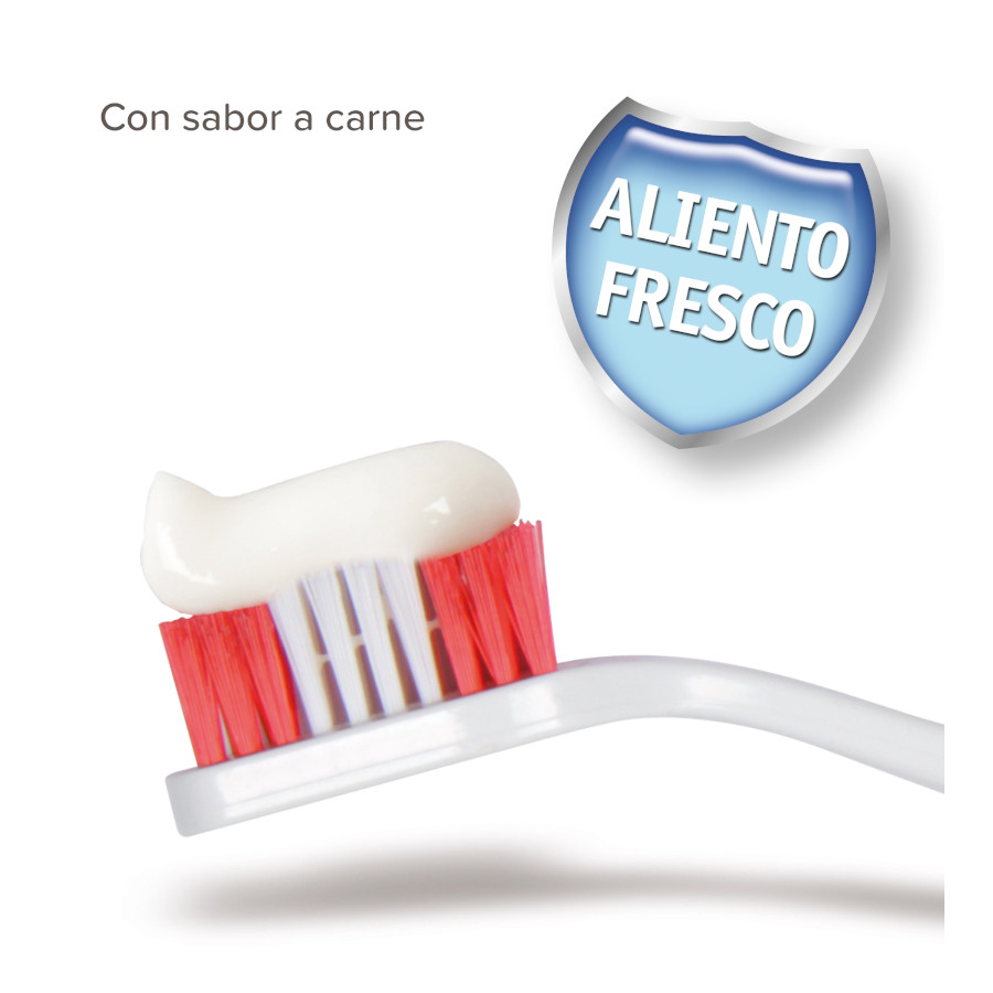 Pasta de dente Beaphar para cães e gatos