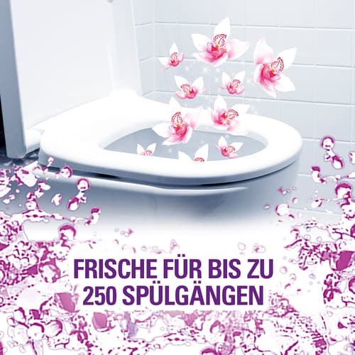 Cillit Bang 6in1 WC Duft & Farbspüler Wilde Orchidee Duo