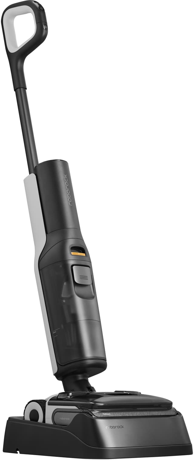 Roborock F25 ACE handheld W&D vacuum WD5M2A522-00 (black)