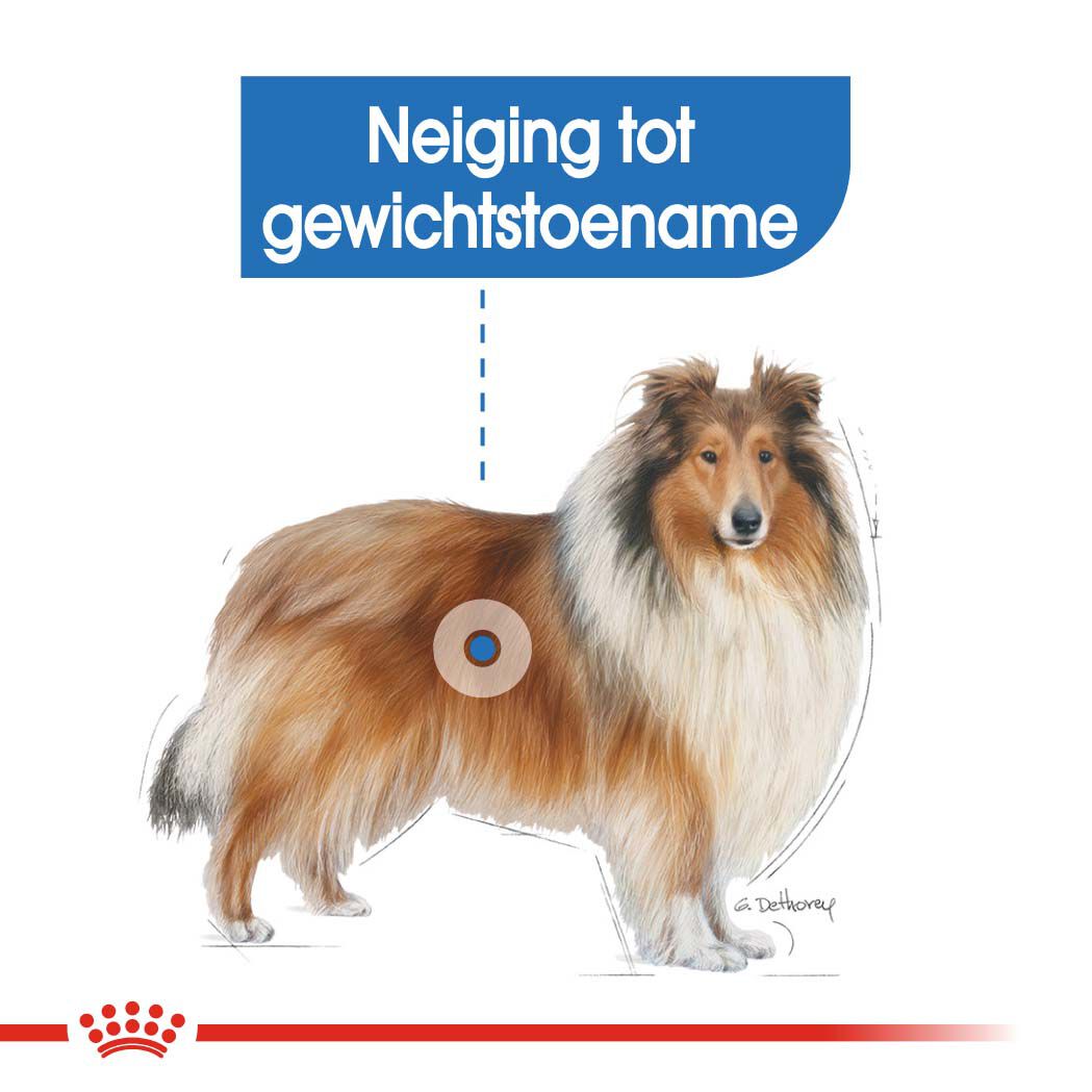 Royal Canin Light Weight Care Maxi Adult - Hondenvoer - 12 Kilogram - gevogelte