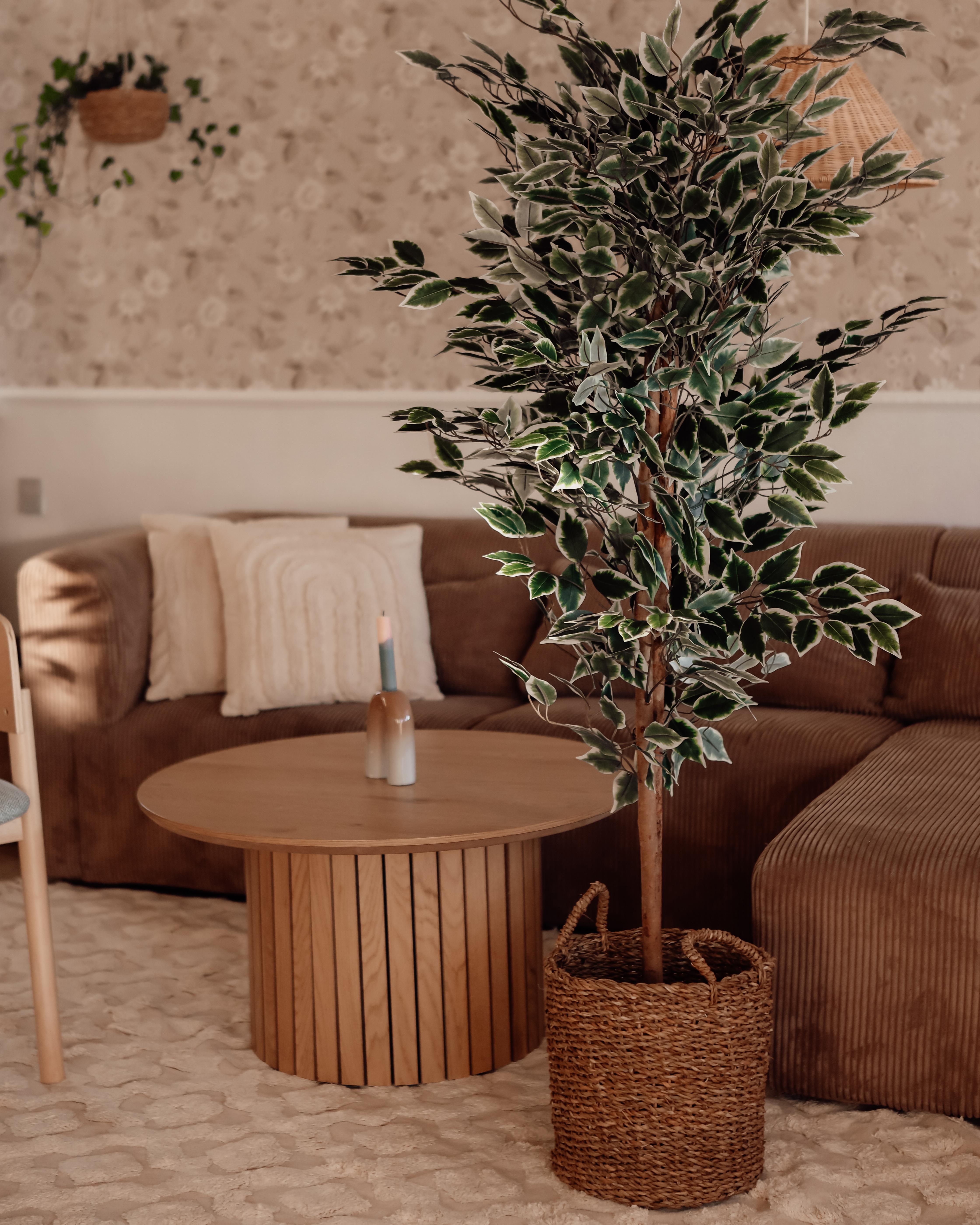 Kunstplant FICUS 167 cm Groen