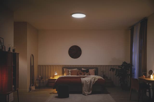 Philips Ozziet loftslampe 18W (hvid)