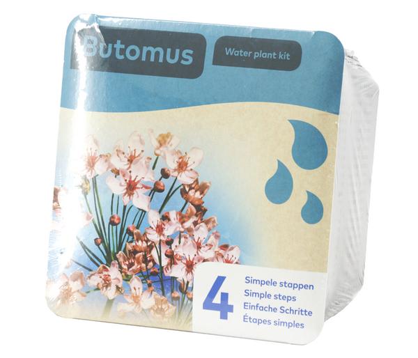 Teichpflanzen Komplett-Set Schwanenblume,