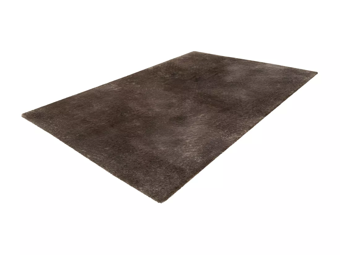 Tapis 170x120cm, design G008R coloris taupe - Confort et élégance pour votre intérieur