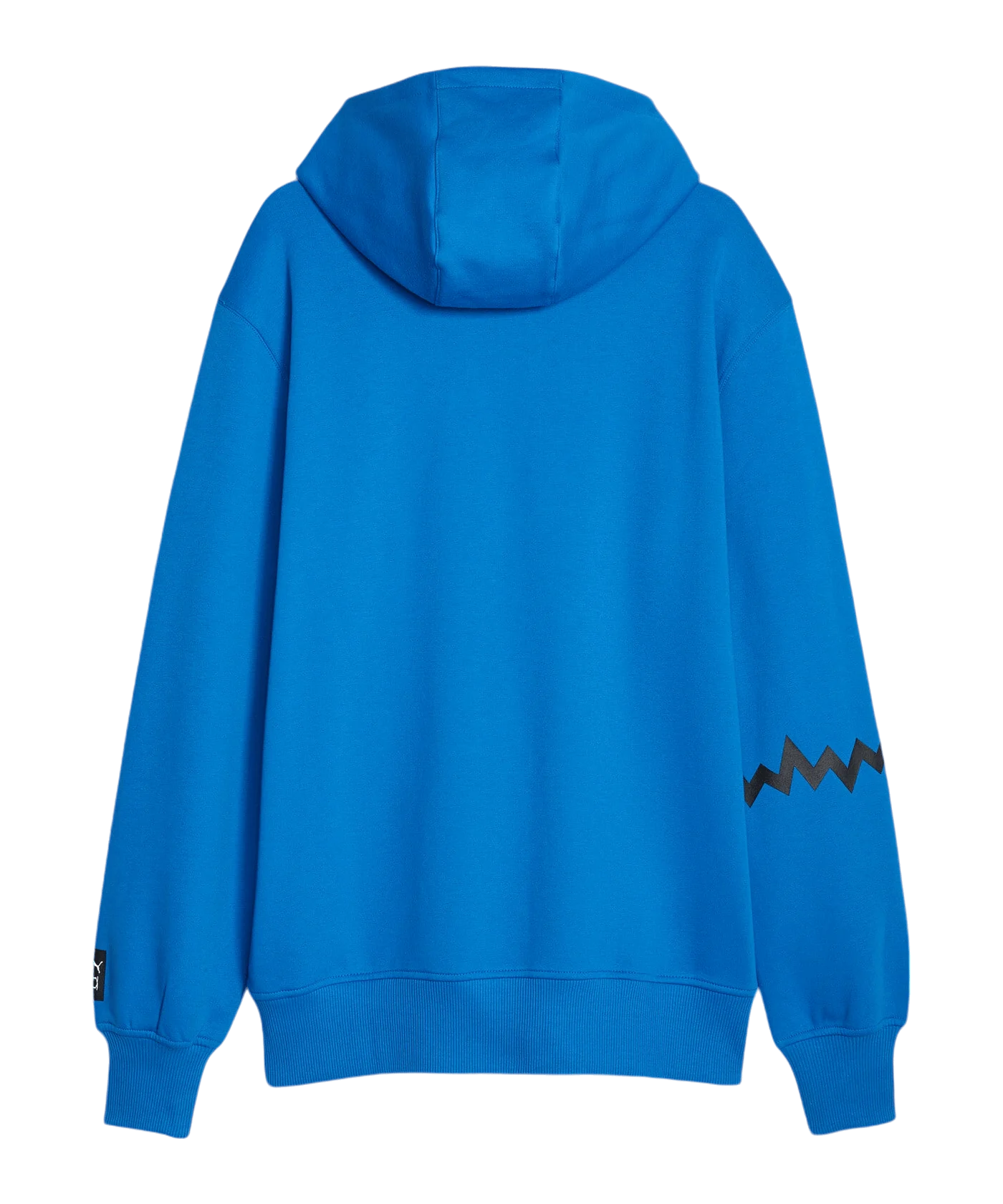 PUMA Hoops Team Hoody Blau F05