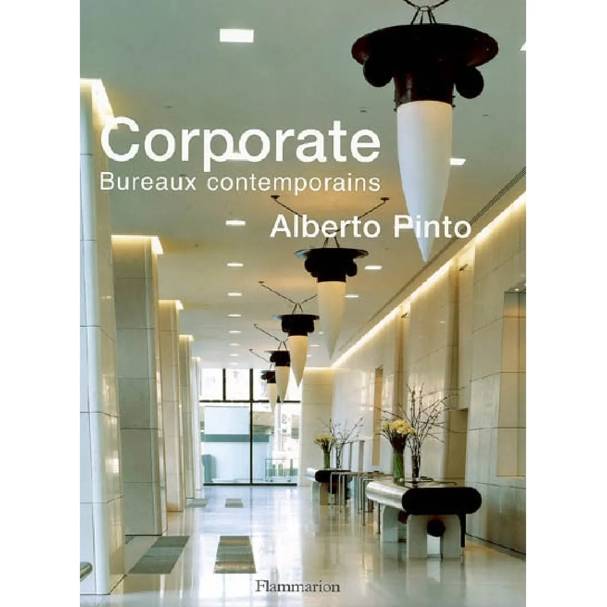 Alberto Pinto corporate : bureaux contemporains · Occasion