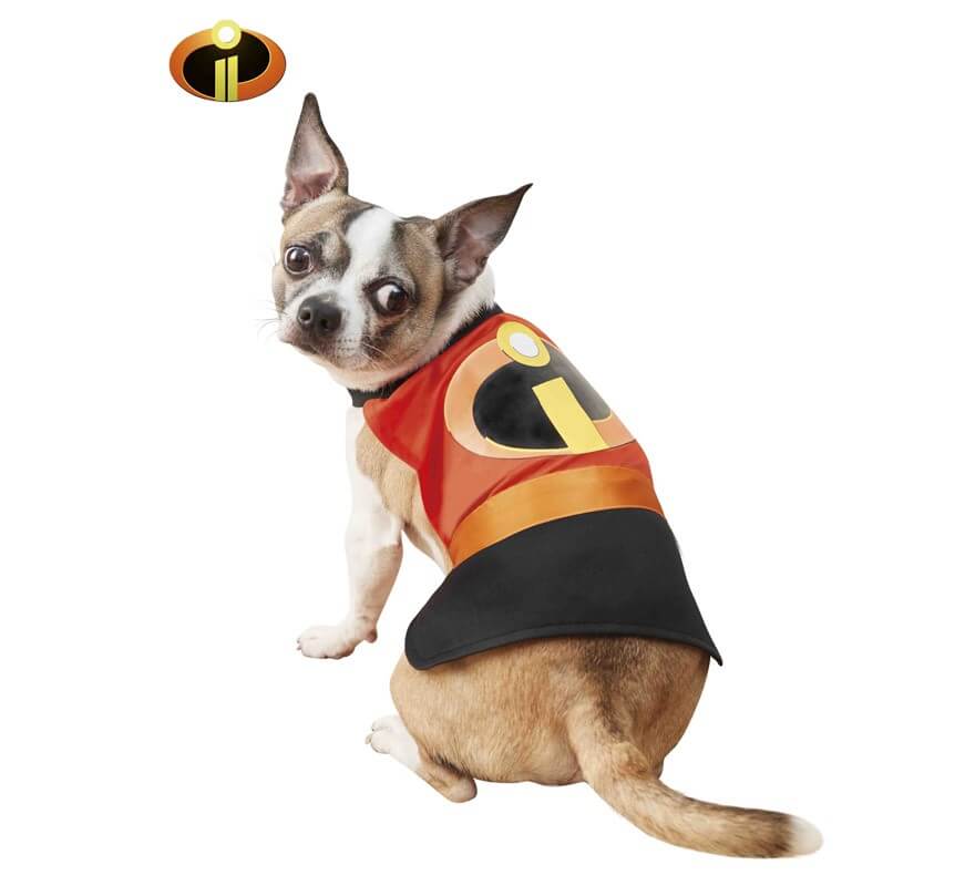 Fantasia de cachorro do Sr. Incrível