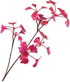 Silk-Ka kunsttak Ginkgo roze 66 cm