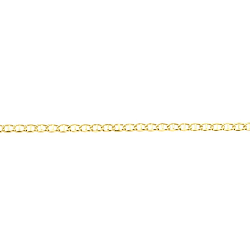 Collier Capucin Maille Marine Plate Or Jaune