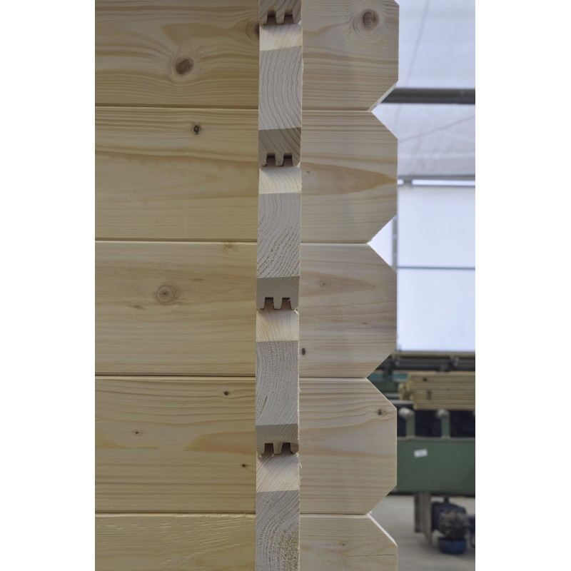 Abri de jardin en bois - 6x5 m - 42 m2 + terrasse avec balustrade et avant-toit en bois