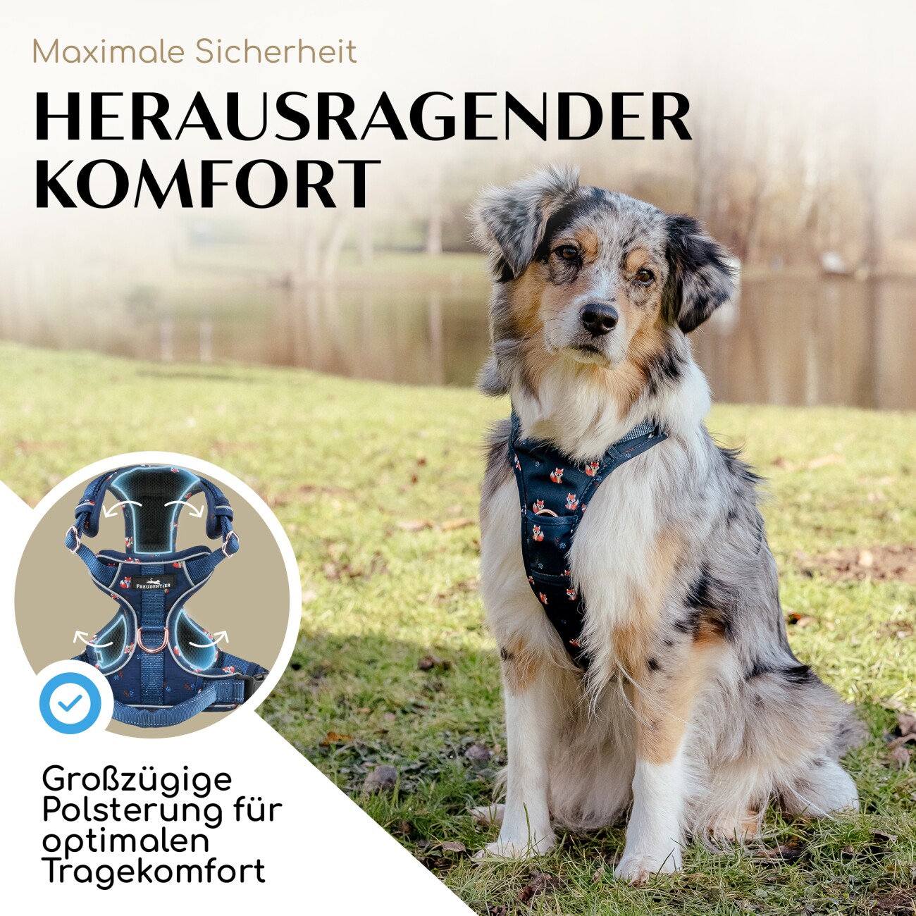 Freudentier atmungsaktives Hundegeschirr 