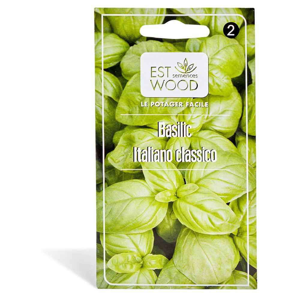 Semence de basilic doux classic